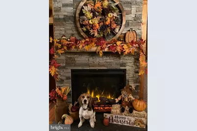 171 Poplar Road, Fredericksburg, VA 22406 - Photo 12