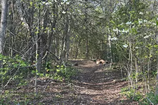 9 King Georges Grant, Fredericksburg, VA 22405 - Photo 26