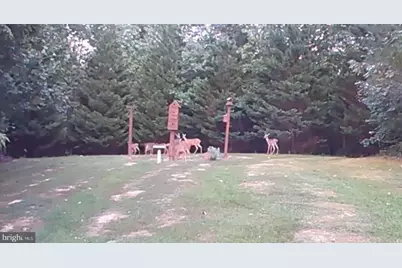 1480 Truslow Road, Fredericksburg, VA 22406 - Photo 52