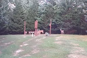 1480 Truslow Rd, Fredericksburg, VA 22406 - Photo 52