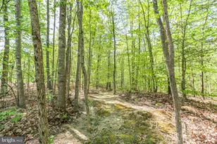 76 Misty Creek Ln, Fredericksburg, VA 22406 - Photo 96
