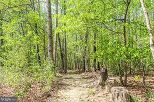 76 Misty Creek Ln, Fredericksburg, VA 22406 - Photo 44