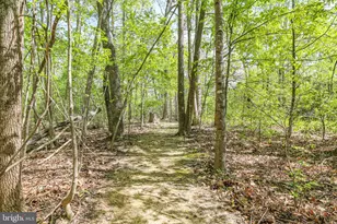76 Misty Creek Ln, Fredericksburg, VA 22406 - Photo 98