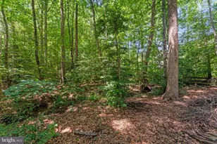 7 Wexwood Ct, Stafford, VA 22554 - Photo 56