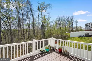 527 View Point Way, Fredericksburg, VA 22405 - Photo 28