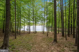 6 Sagewood Ct, Fredericksburg, VA 22406 - Photo 60