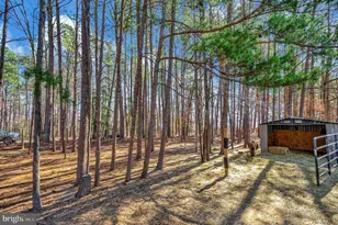 329 Mt Olive Rd, Stafford, VA 22556 - Photo 54