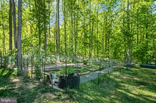 52 Acorn Ridge Ct, Fredericksburg, VA 22406 - Photo 86