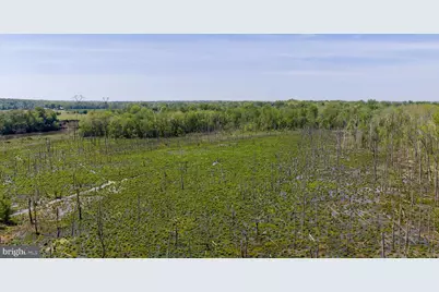 1432 Kings Highway, Fredericksburg, VA 22405 - Photo 112