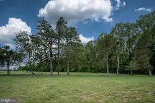 145 Forest Ln Rd, Fredericksburg, VA 22405 - Photo 96