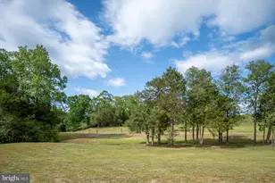 145 Forest Ln Rd, Fredericksburg, VA 22405 - Photo 98