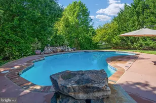 6 Toliver Ln, Stafford, VA 22554 - Photo 72