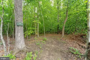 75 Orion Way, Stafford, VA 22556 - Photo 74
