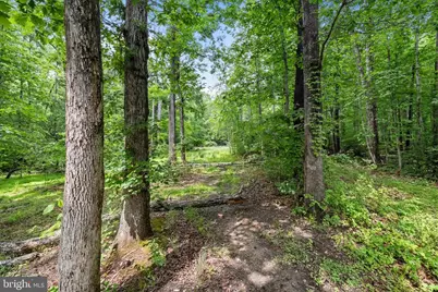 361 Richland Road, Fredericksburg, VA 22406 - Photo 66