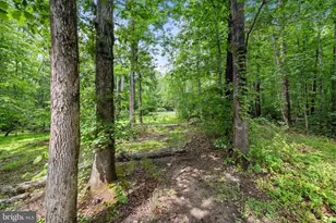 361 Richland Rd, Fredericksburg, VA 22406 - Photo 66