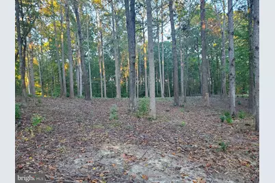 50 Piper Place, Fredericksburg, VA 22405 - Photo 6