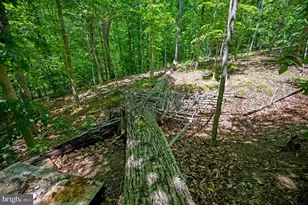 131 Arden Ln, Stafford, VA 22556 - Photo 80