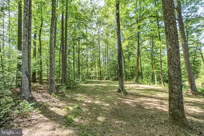 32 Layline Lane, Fredericksburg, VA 22406 - Photo 12