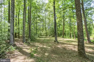 32 Layline Ln, Fredericksburg, VA 22406 - Photo 12