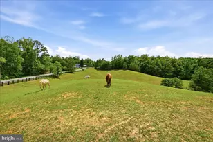 129 Salvington Rd, Fredericksburg, VA 22405 - Photo 42