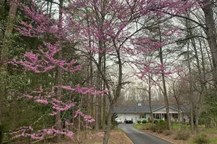 230 Richards Ferry Rd, Fredericksburg, VA 22406 - Photo 76