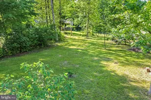 230 Richards Ferry Rd, Fredericksburg, VA 22406 - Photo 64