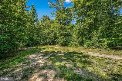 626 Long Meadow Drive, Fredericksburg, VA 22406 - Photo 46