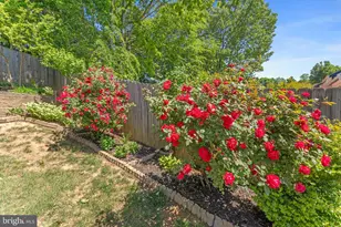 29 Woods Edge Ct, Stafford, VA 22554 - Photo 56