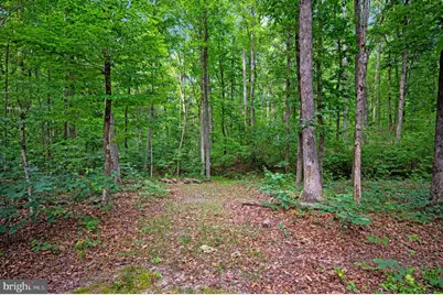 68 Bronco Lane, Fredericksburg, VA 22406 - Photo 64