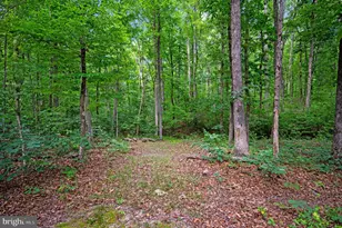 68 Bronco Ln, Fredericksburg, VA 22406 - Photo 64