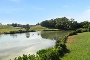 250 Lerose Dr, Fredericksburg, VA 22406 - Photo 16