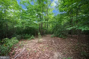 420 Pear Blossom Rd, Stafford, VA 22554 - Photo 60