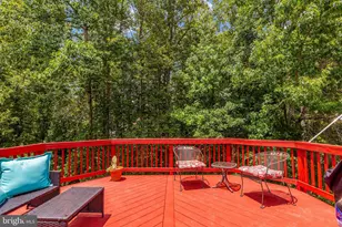 43 Cherry Laurel Dr, Fredericksburg, VA 22405 - Photo 76