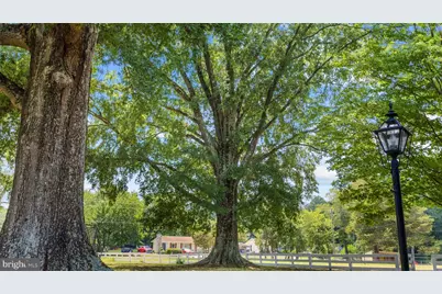 305 Chapel Green Road, Fredericksburg, VA 22405 - Photo 8