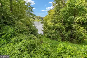70 Grove Ln, Fredericksburg, VA 22406 - Photo 76