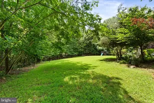 430 Spotted Tavern Rd, Fredericksburg, VA 22406 - Photo 60
