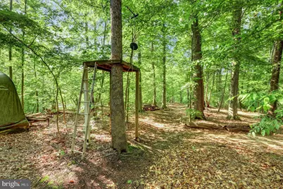 1 Rolling Brooke Court, Stafford, VA 22554 - Photo 54