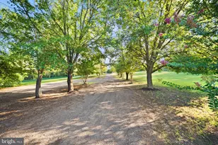 14481 Warrenton Rd, Fredericksburg, VA 22406 - Photo 74