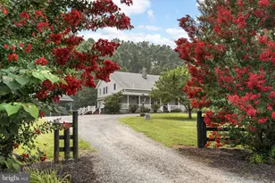 559 Holly Corner Rd, Fredericksburg, VA 22406 - Photo 16