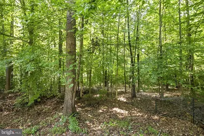6 Plumosa Drive, Fredericksburg, VA 22405 - Photo 42