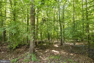 6 Plumosa Dr, Fredericksburg, VA 22405 - Photo 42