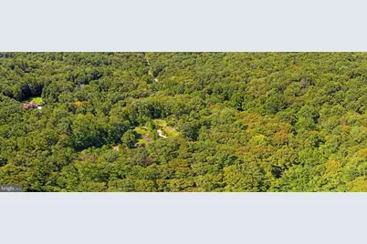 145 King Daniels Way, Fredericksburg, VA 22406 - Photo 4