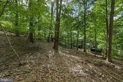 317 Cutter Cove, Stafford, VA 22554 - Photo 64