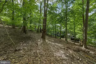 317 Cutter Cove, Stafford, VA 22554 - Photo 64
