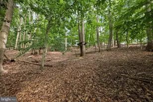 317 Cutter Cove, Stafford, VA 22554 - Photo 64