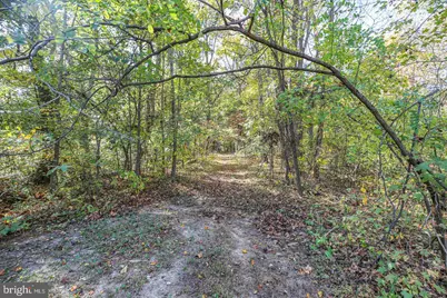 48 Old Creekside Road, Fredericksburg, VA 22405 - Photo 62