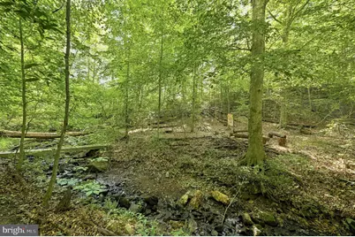 11 Cobblestone Way, Fredericksburg, VA 22406 - Photo 46