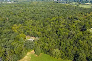 478 Truslow Rd, Fredericksburg, VA 22405 - Photo 78