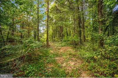50 Beagle Road, Fredericksburg, VA 22405 - Photo 64