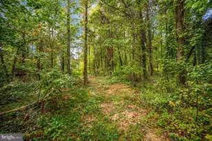 50 Beagle Rd, Fredericksburg, VA 22405 - Photo 64